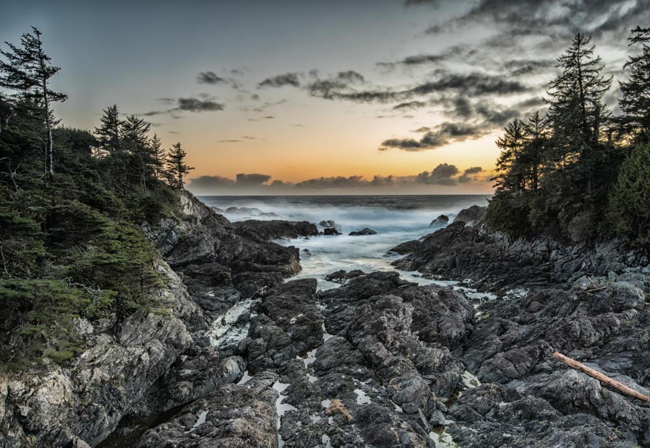 Wild Pacific Guest Suites Ucluelet Eksteriør bilde